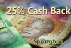 Make Springbok Casino Your Regular Gaming Destination Thanks to its 25% Cashback