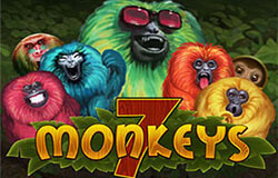 7 Monkeys