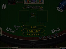 Punt casino screenshot