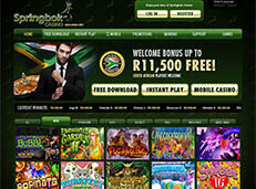 Springbok Casino review screenshot