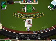 Springbok Casino screenshot
