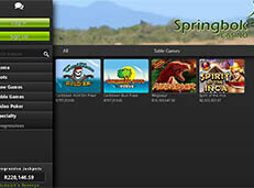 Springbok Casino review screenshot