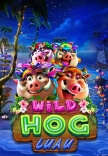 Springbok Casino Announces the Release of Wild Hog Luau