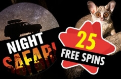 Springbok Casino Pays Tribute to Nocturnal Animals Through Its Night Safari Specials, Available Until the End of July 